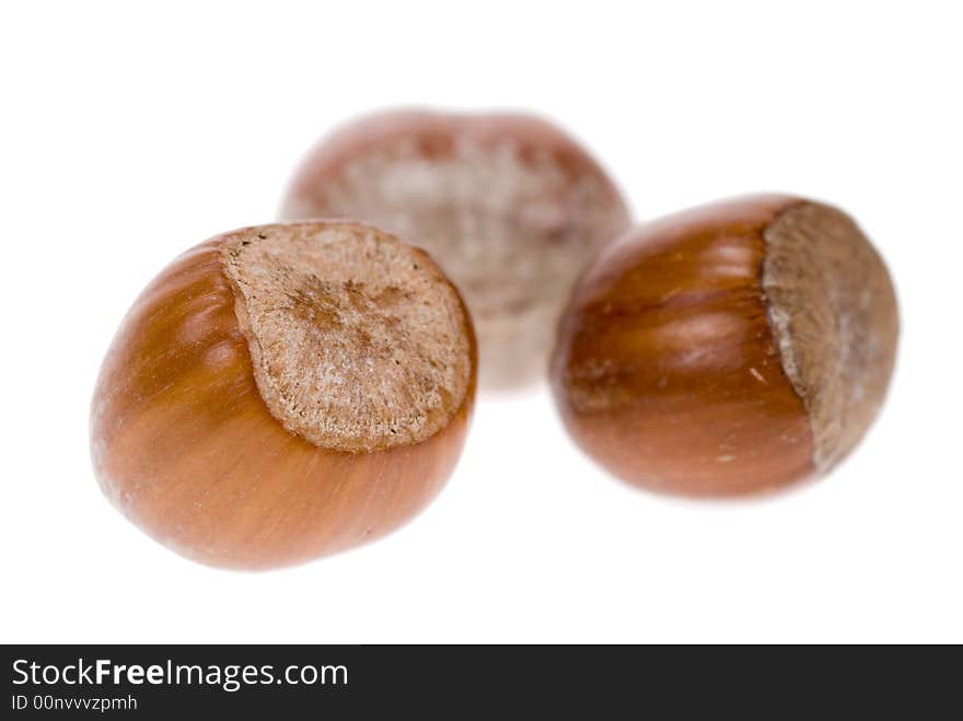 Fresh hazelnuts isolated on a white background