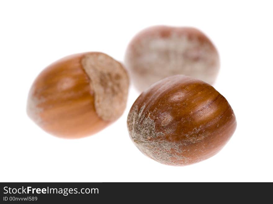 Fresh hazelnuts isolated on a white background