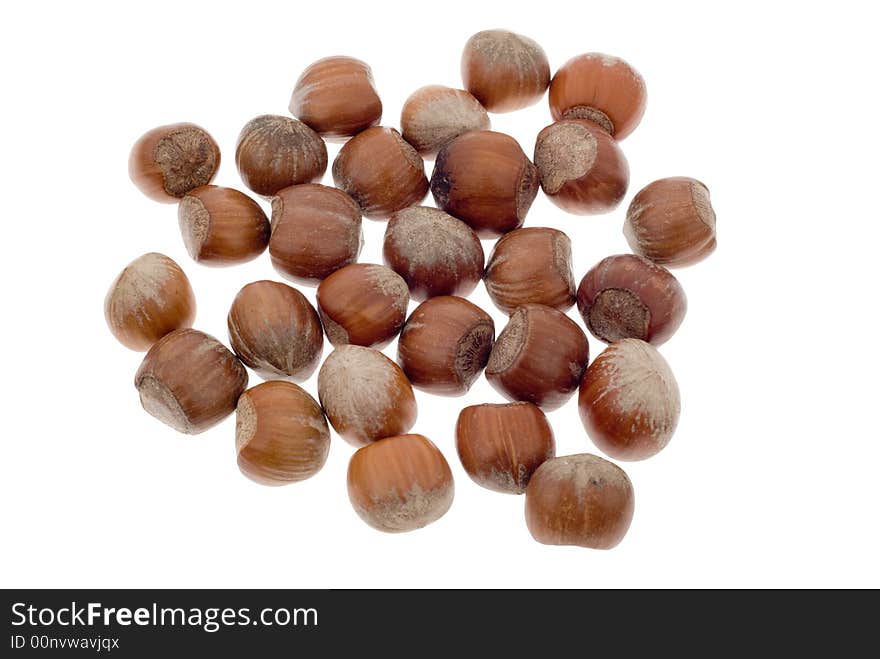 Fresh hazelnuts isolated on a white background