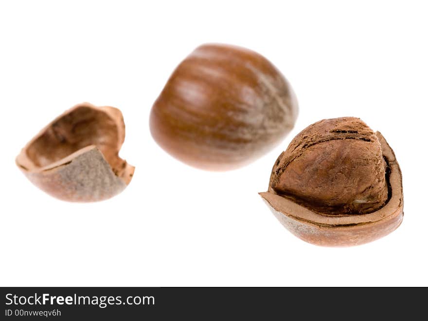 Fresh hazelnuts isolated on a white background