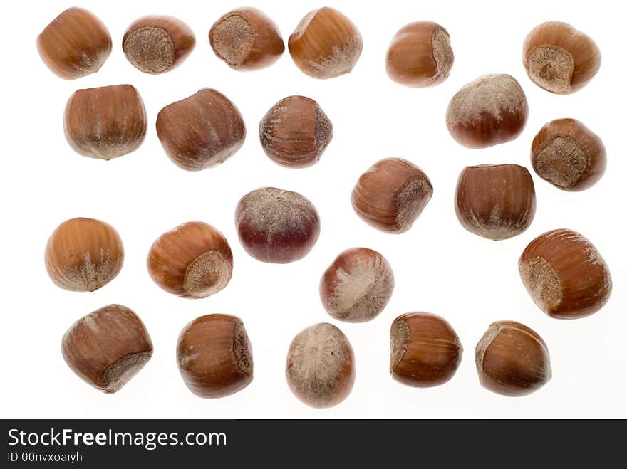 Fresh hazelnuts isolated on a white background