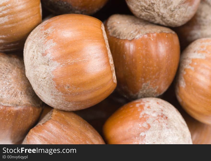 Fresh hazelnuts in shell background