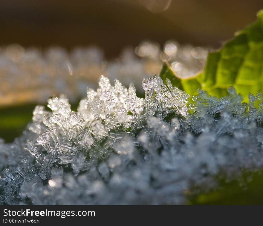 Frost crystals 06