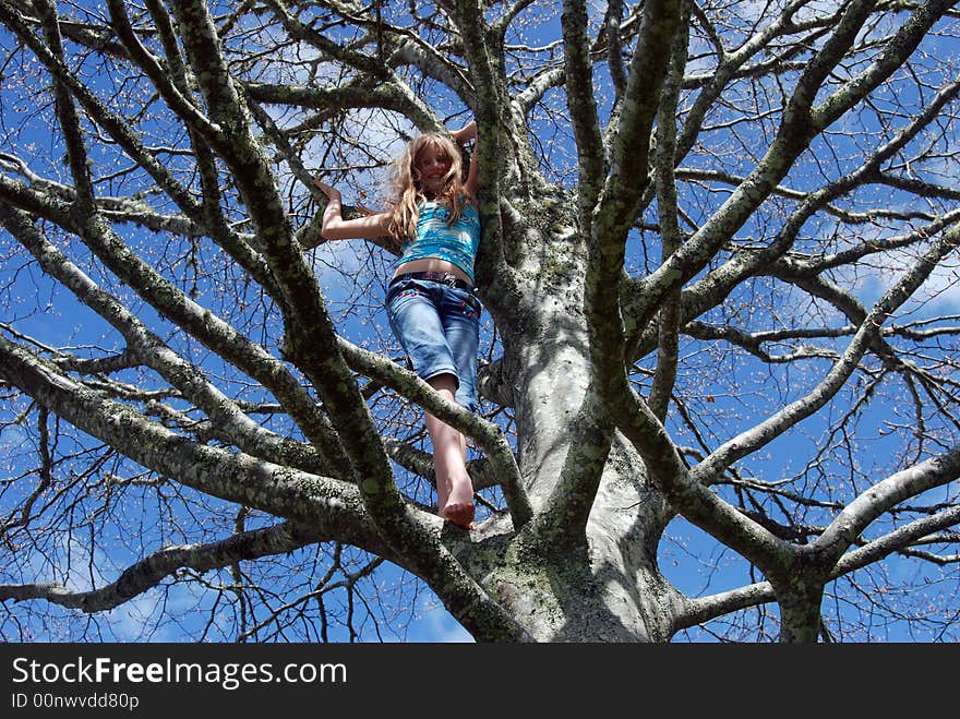 A young girl (tomboy) up a tree. A young girl (tomboy) up a tree