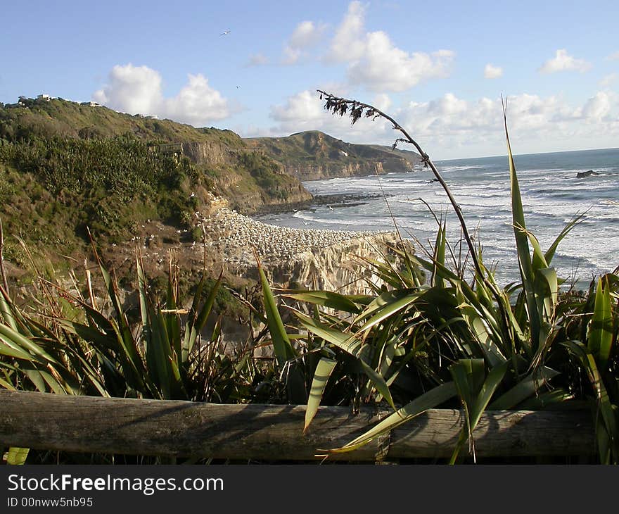 Situated roughly 40 minutes from Auckland this tranquil Beach offers a great variety of natural entertainment. Situated roughly 40 minutes from Auckland this tranquil Beach offers a great variety of natural entertainment.