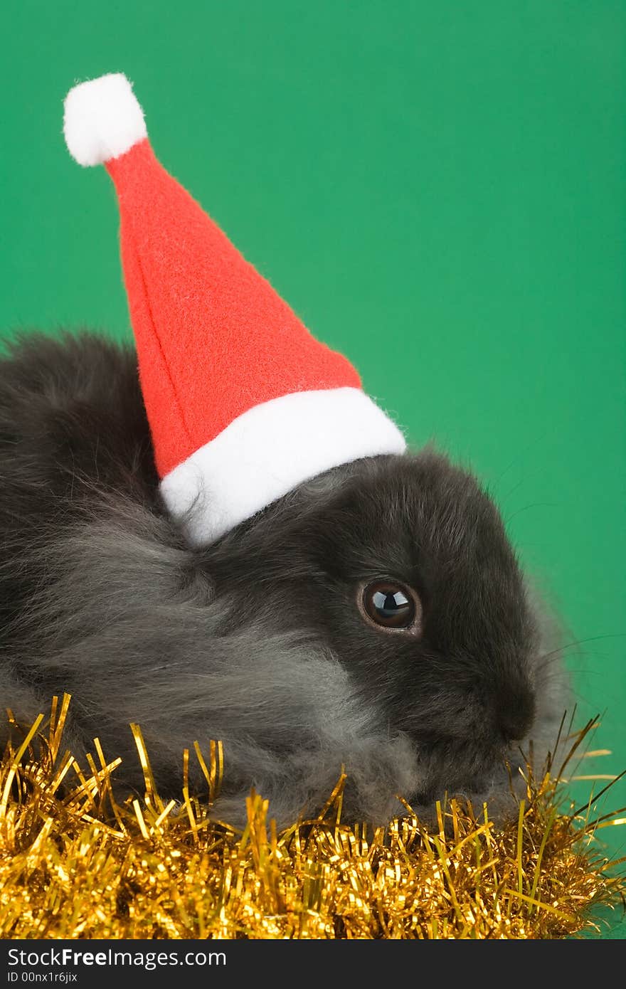 Grey bunny and christmas decorations, green background