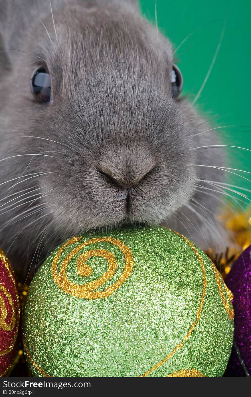 Grey bunny and christmas decorations, green background