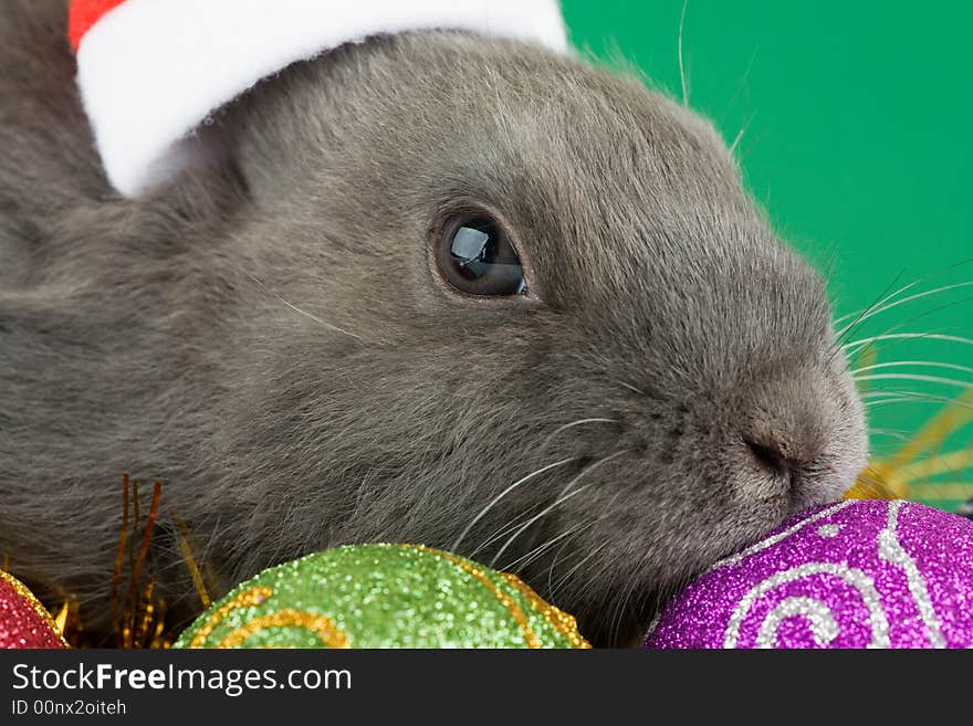 Grey bunny and christmas decorations, green background