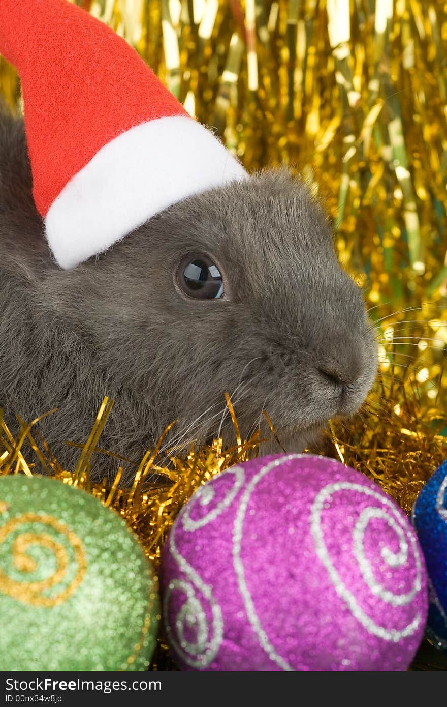 Grey bunny and christmas decorations on gold background