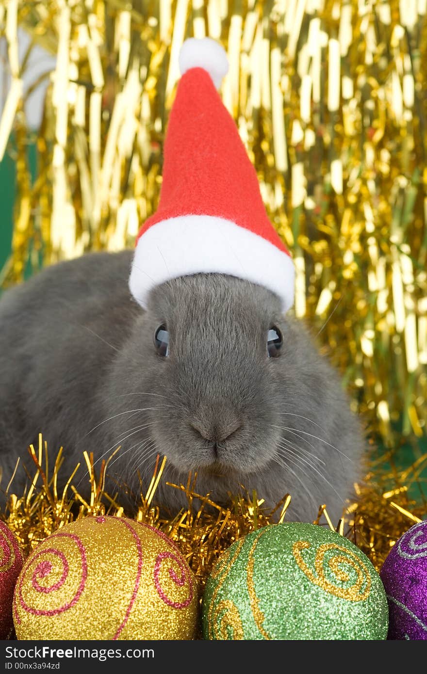 Grey bunny and christmas decorations