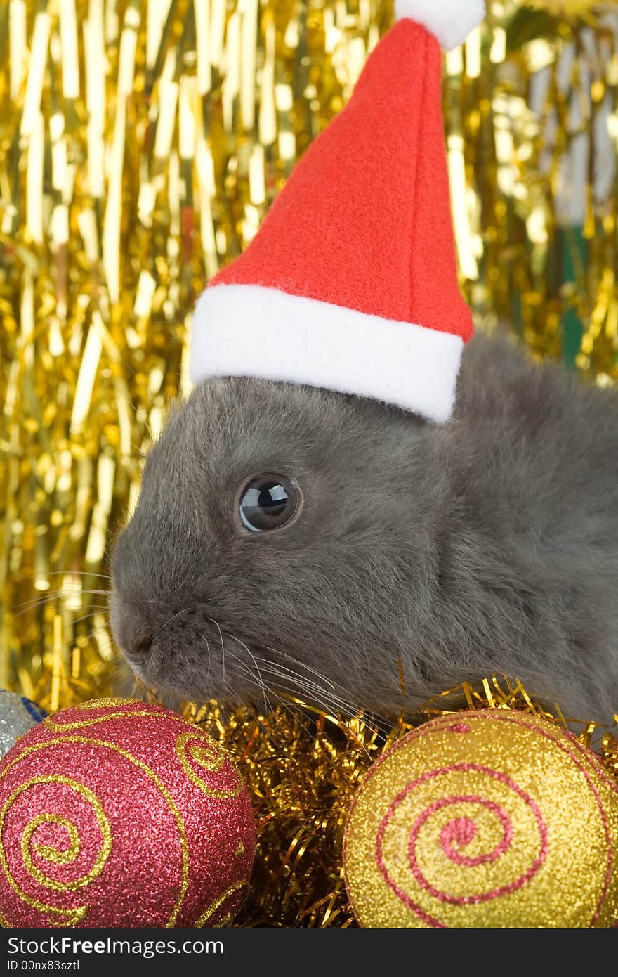 Grey bunny and christmas decorations on gold background