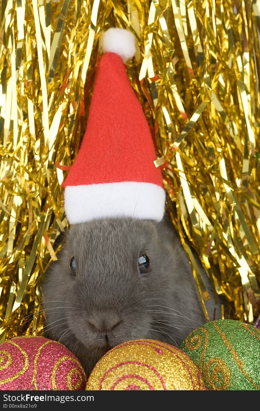 Grey bunny and christmas decorations on gold background