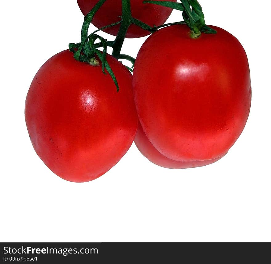 Cherry tomatoes growing on the vine ripe