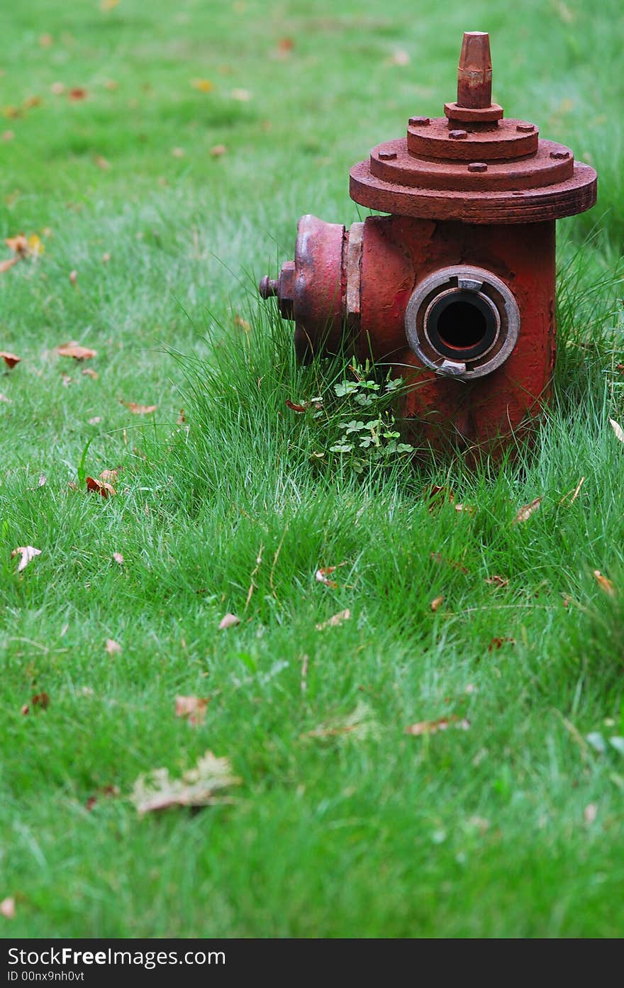 Ａ　red Hydrant in the park,there were some fall-leaves on the grass.