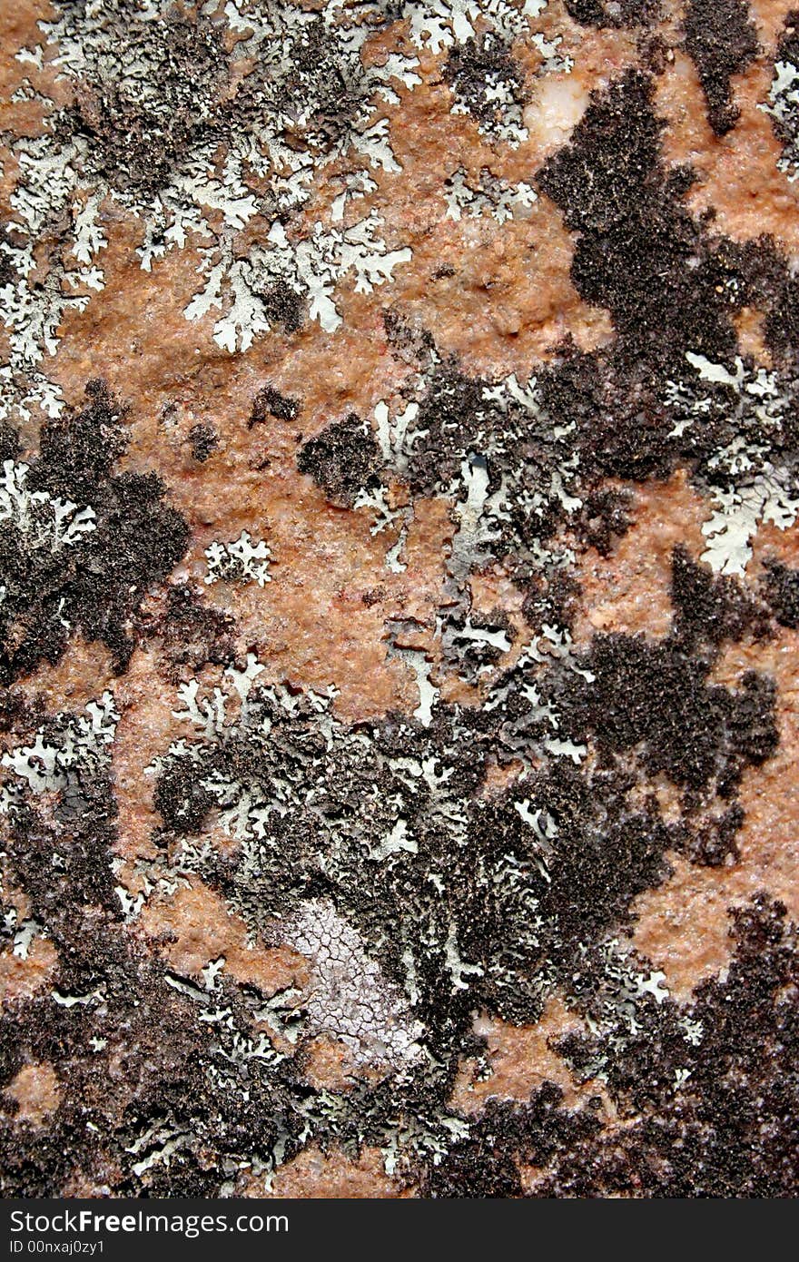 Lichen growing on natural sandstone. Lichen growing on natural sandstone