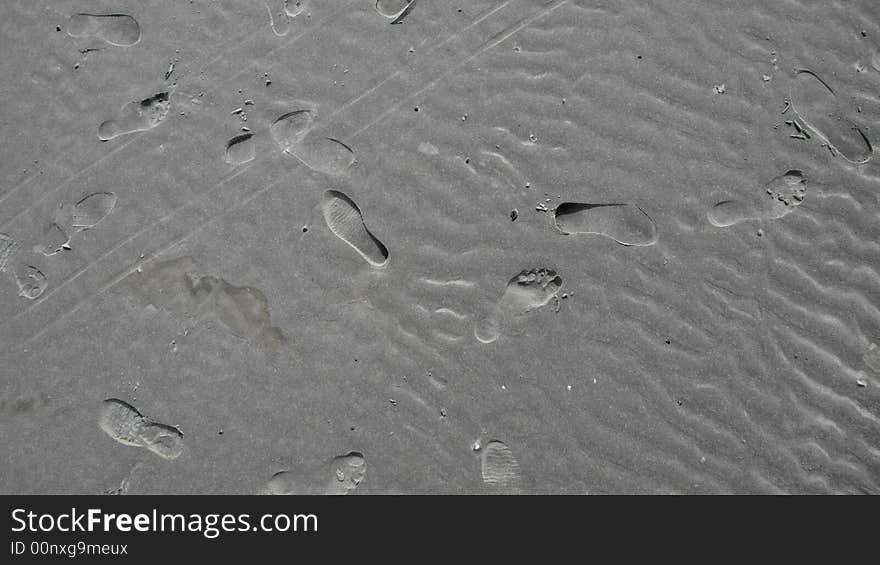 Clean shoot of mudflat with footprints