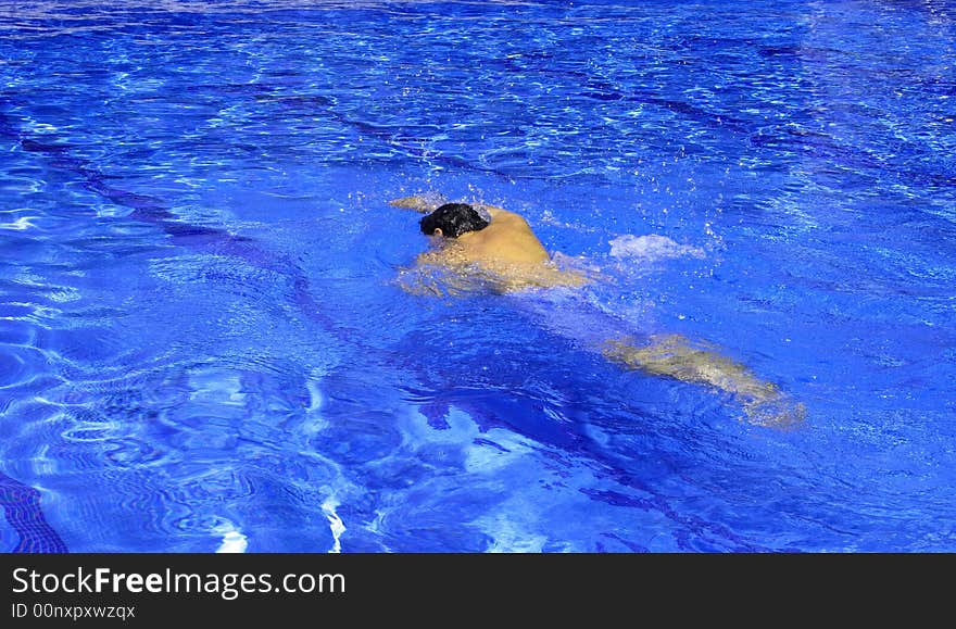 Great swimming in the pool