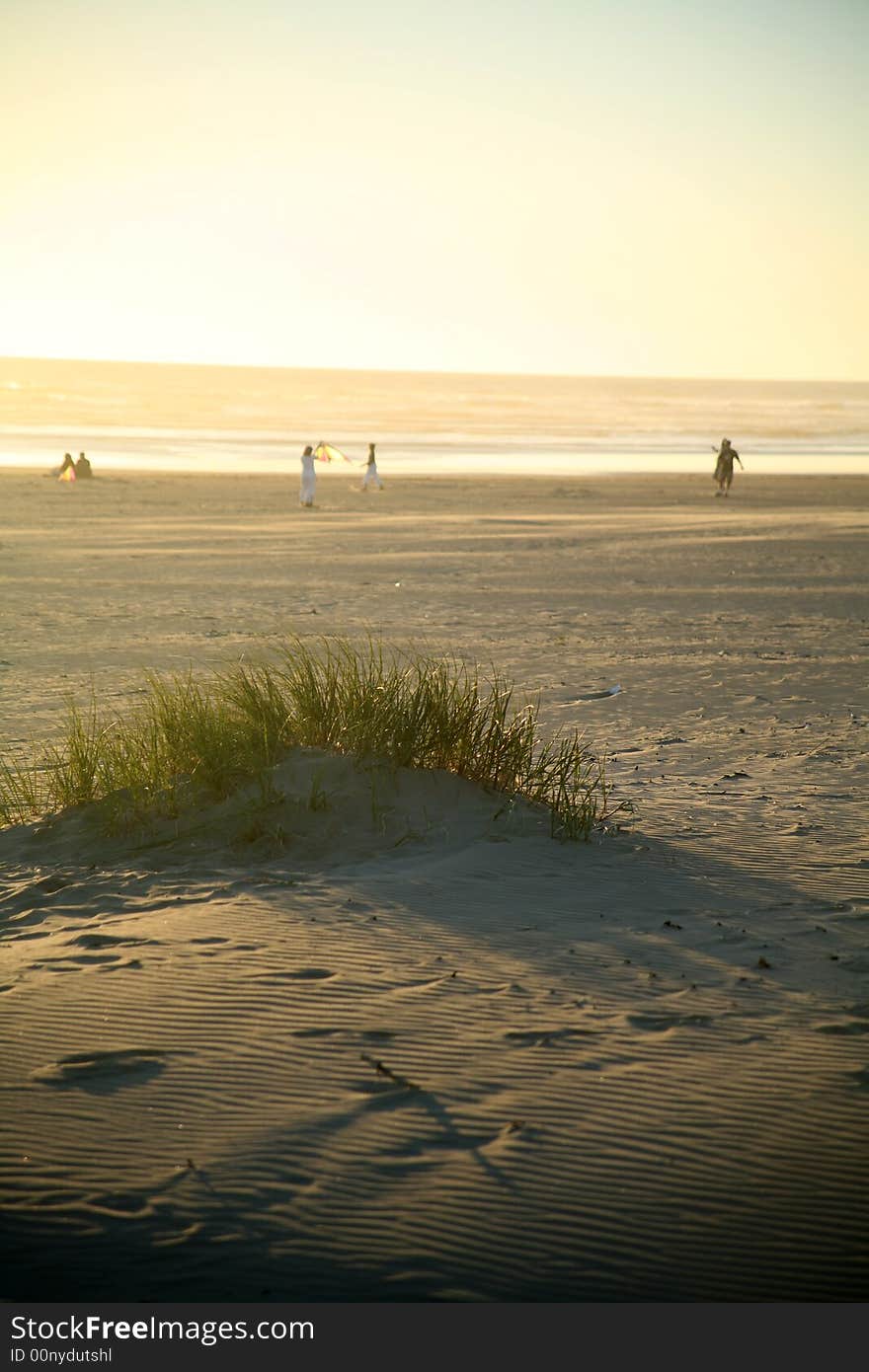 Summer Eveing on the Beach