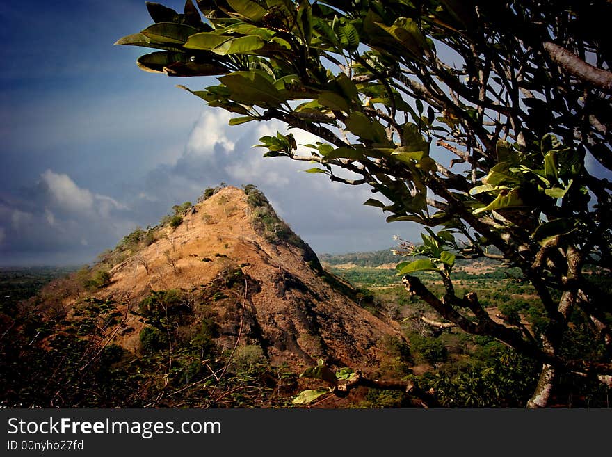 A hill naturally framed with a tree. A hill naturally framed with a tree