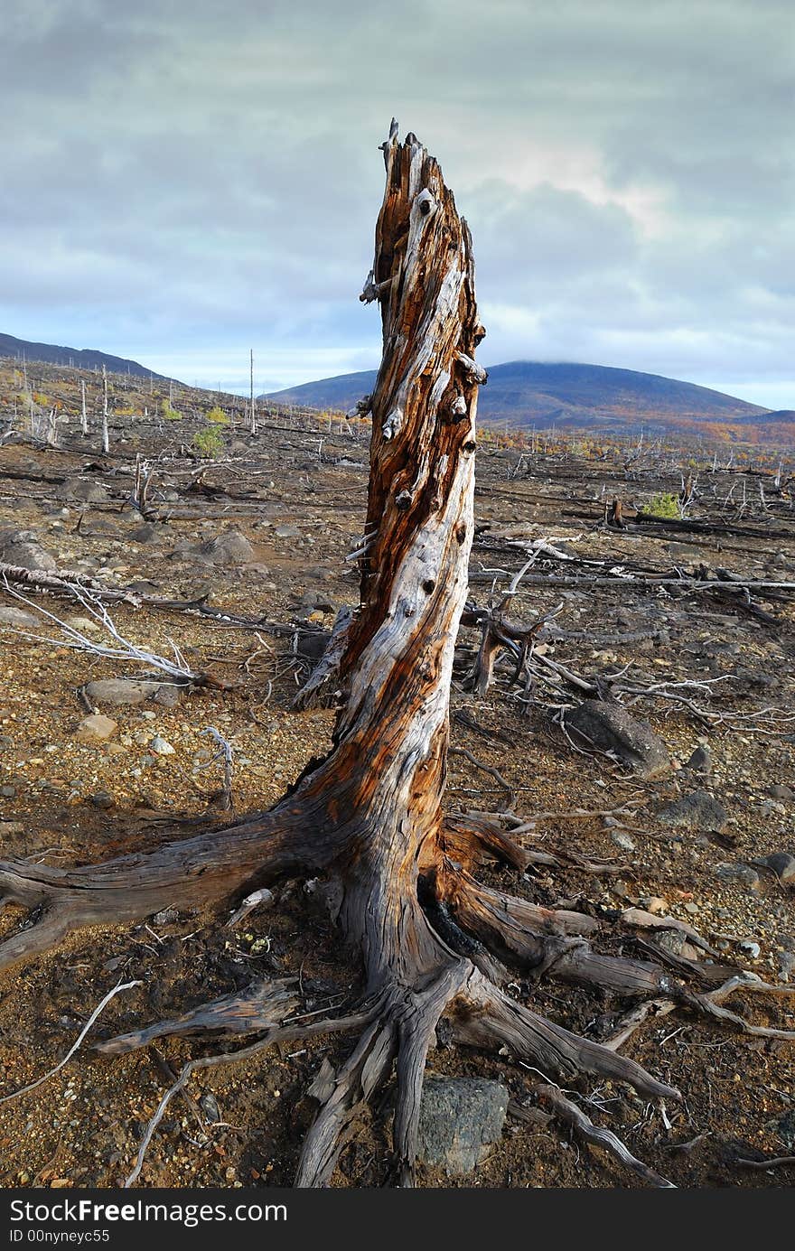 Environmental problems. A soil erosion. Environmental problems. A soil erosion