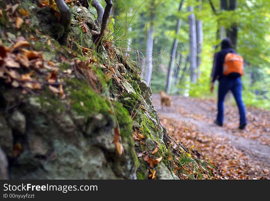 In the forest