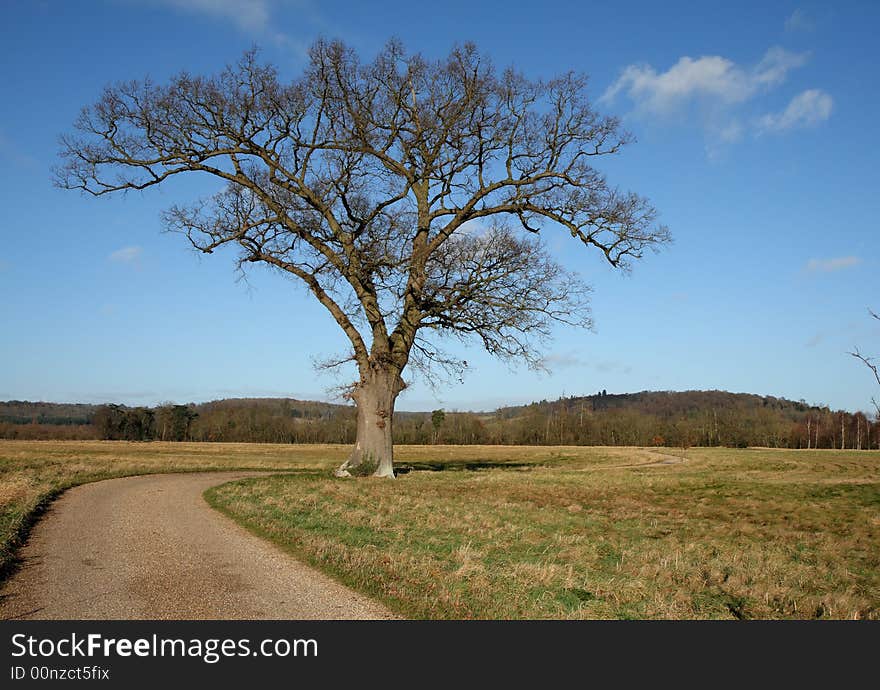 English Landscape