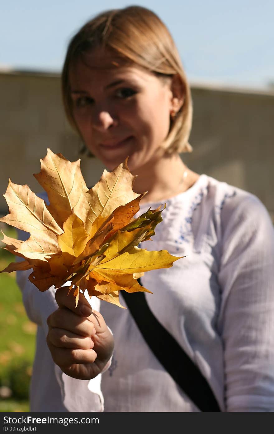 Cute girl showing yellow leaves, with focus on the leaves. Cute girl showing yellow leaves, with focus on the leaves.