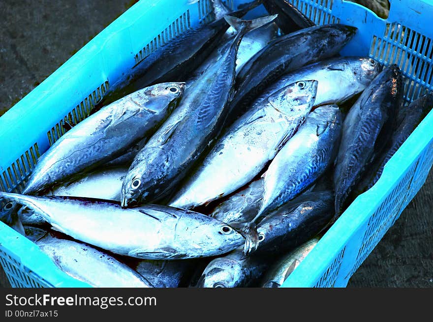 A bunch of fish kept in a basket for sale