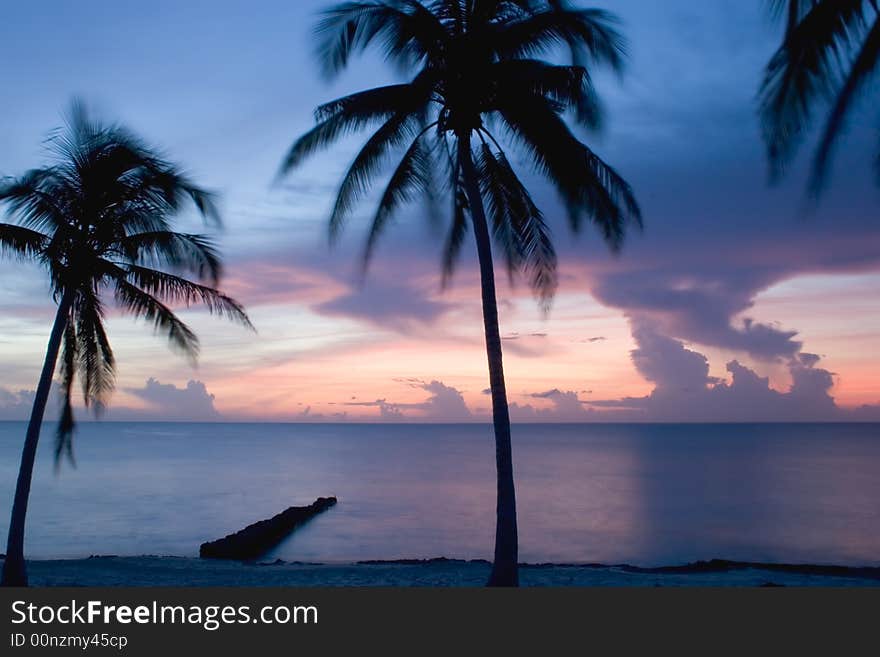 Sunset on the sea with palms