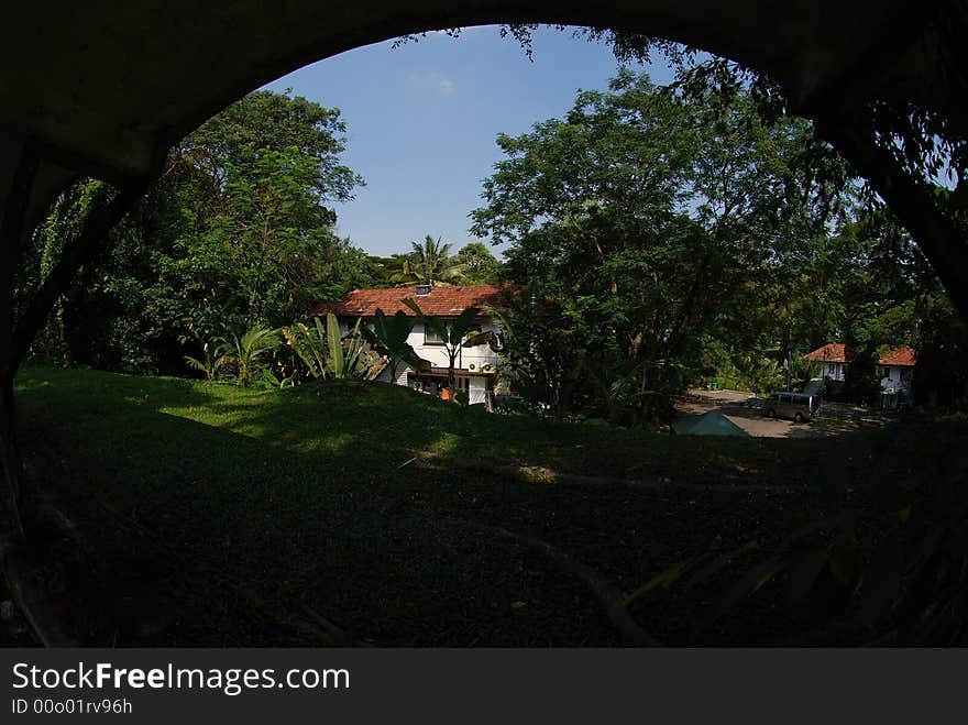 Old House Surround By The Plants And Tree