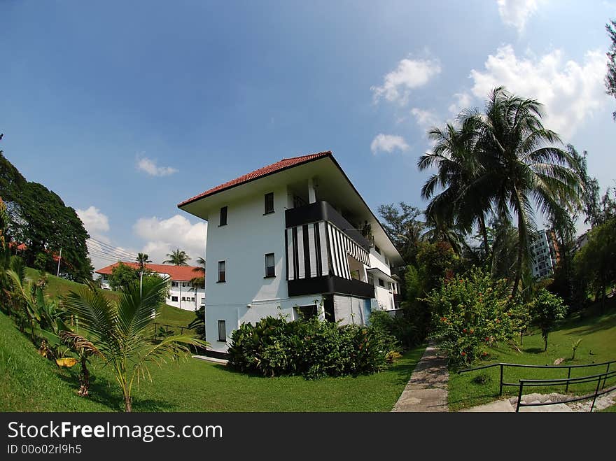 Old house surround by the plants and tree