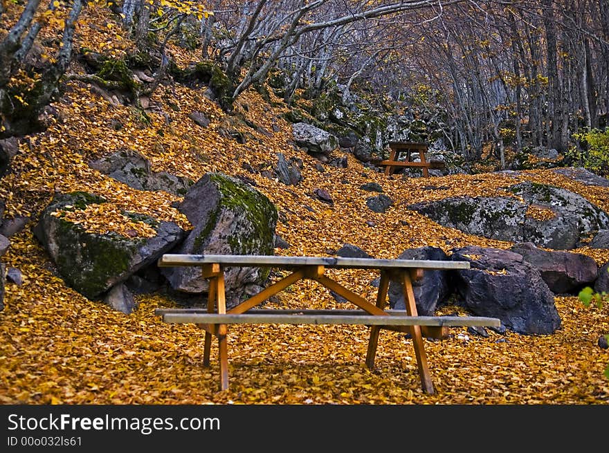 A nice autumn day in the park