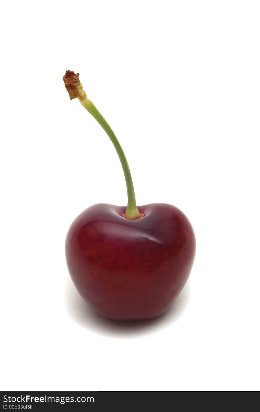 One cherry on white background