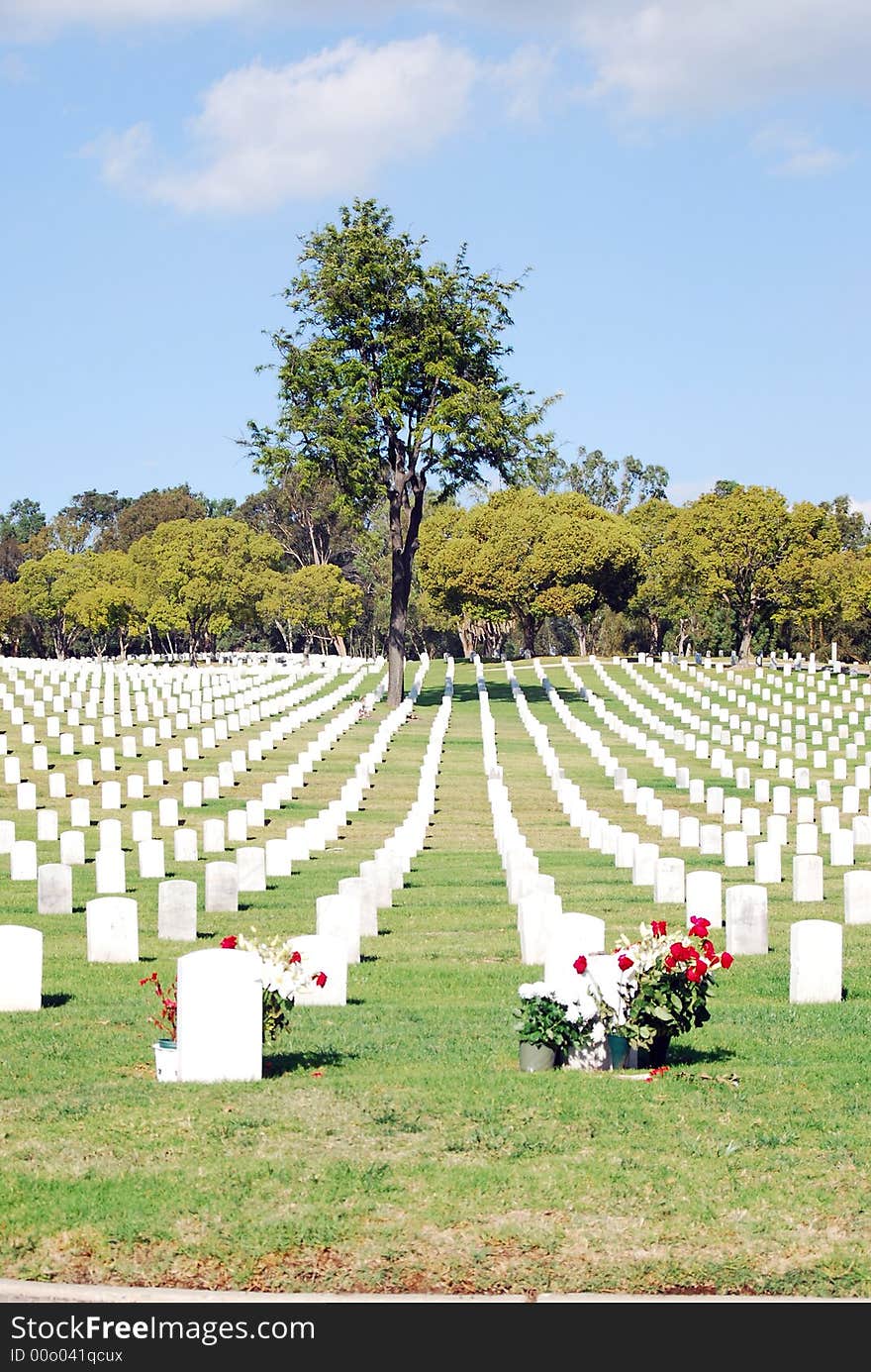 Tombstones lined up in the Los Angeles National Cemetery. The VA National Cemetery Administration honors the military service of our Nation's veterans. Tombstones lined up in the Los Angeles National Cemetery. The VA National Cemetery Administration honors the military service of our Nation's veterans.