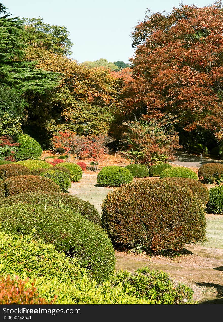 Colors in a Japanese Garden in autumn