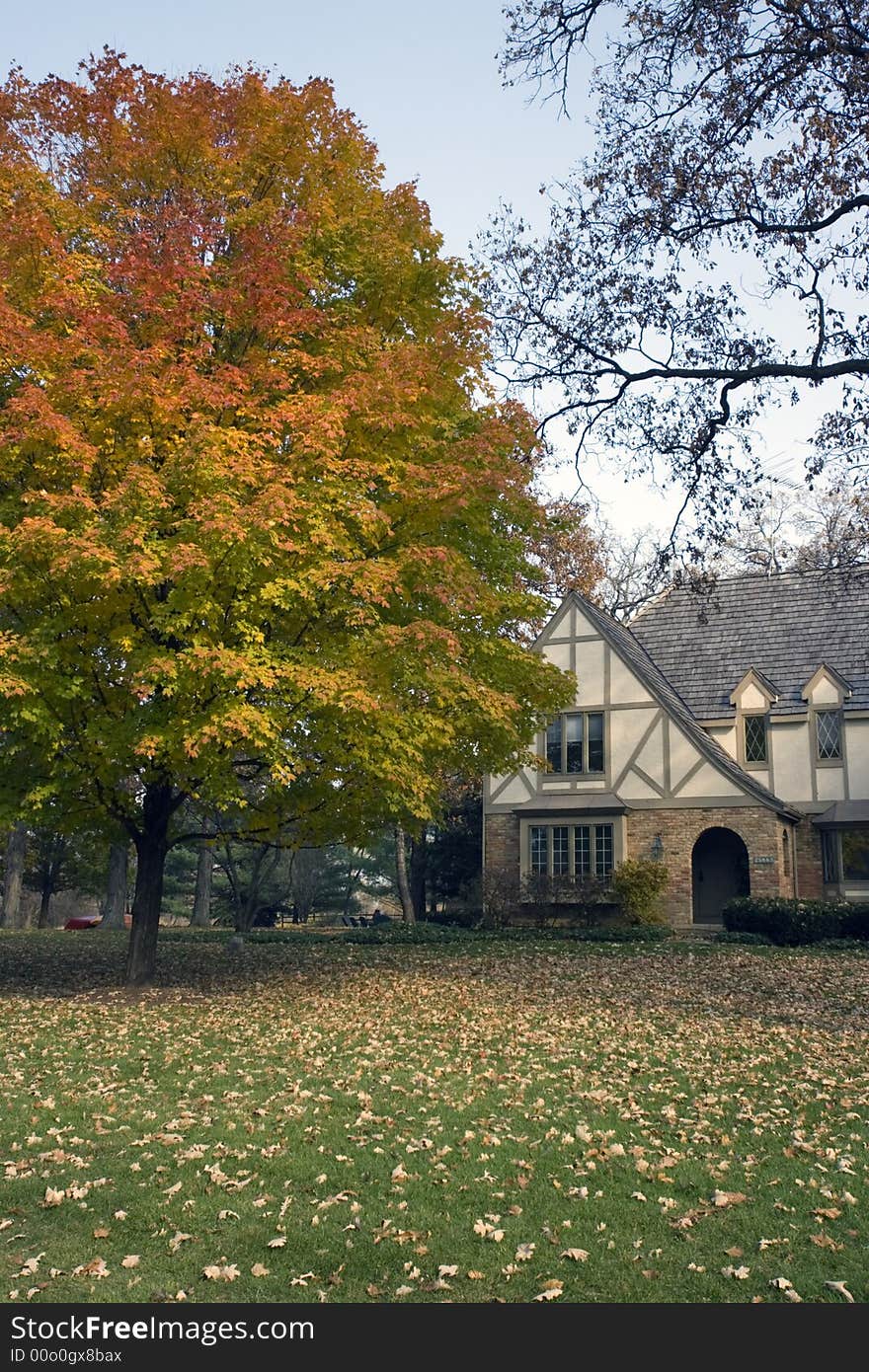 Colorful Autumn in the suburbs. Colorful Autumn in the suburbs.