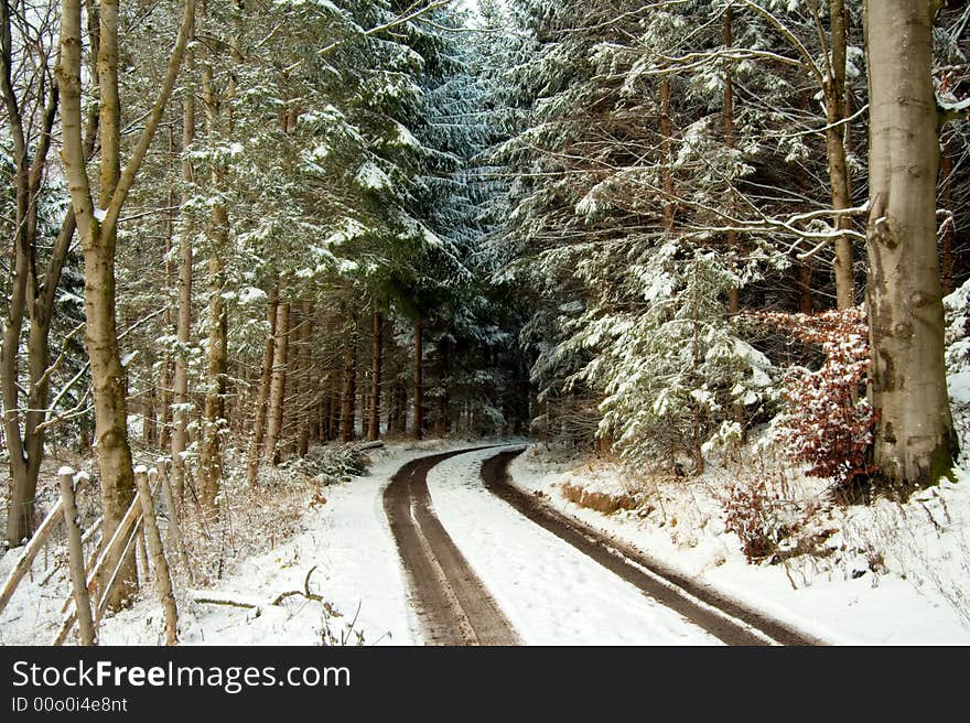 A Bavarian winter forest landscape. A Bavarian winter forest landscape.