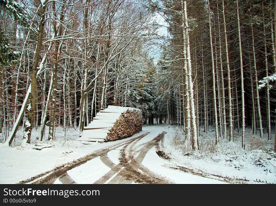 A Bavarian winter forest landscape. A Bavarian winter forest landscape.