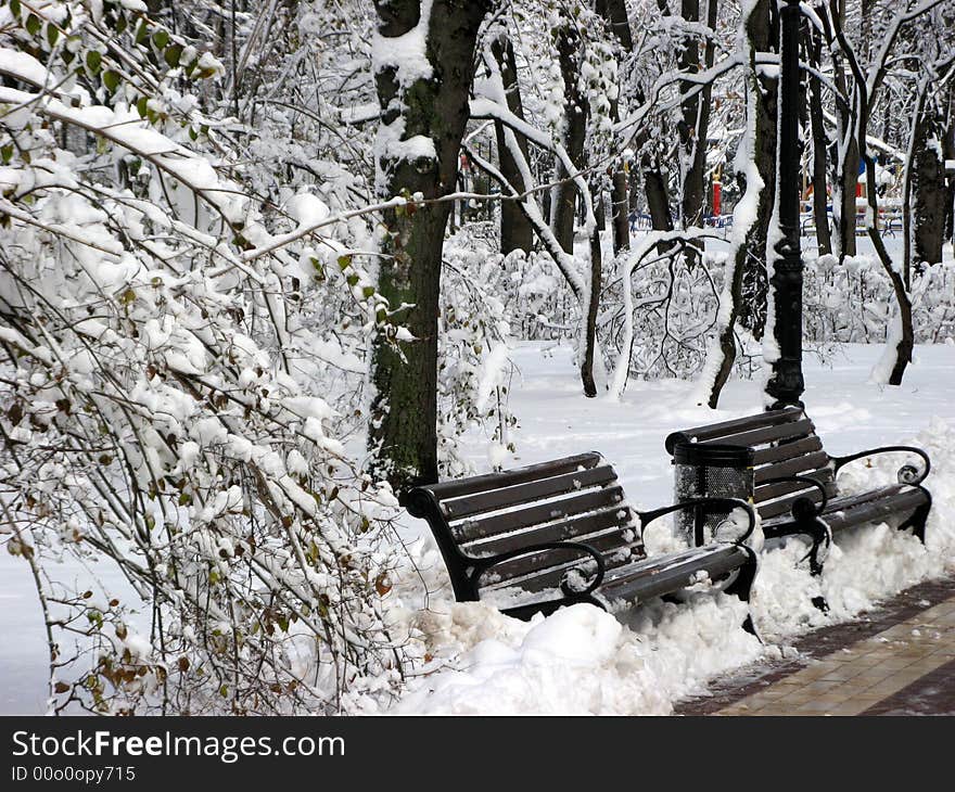 The benches are in park in winter