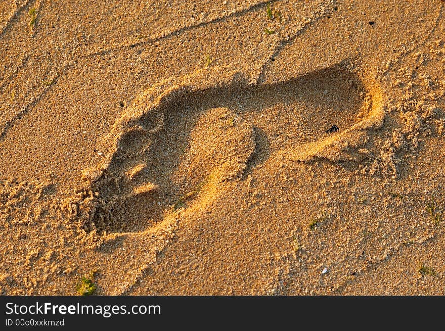 Footprint on a beach