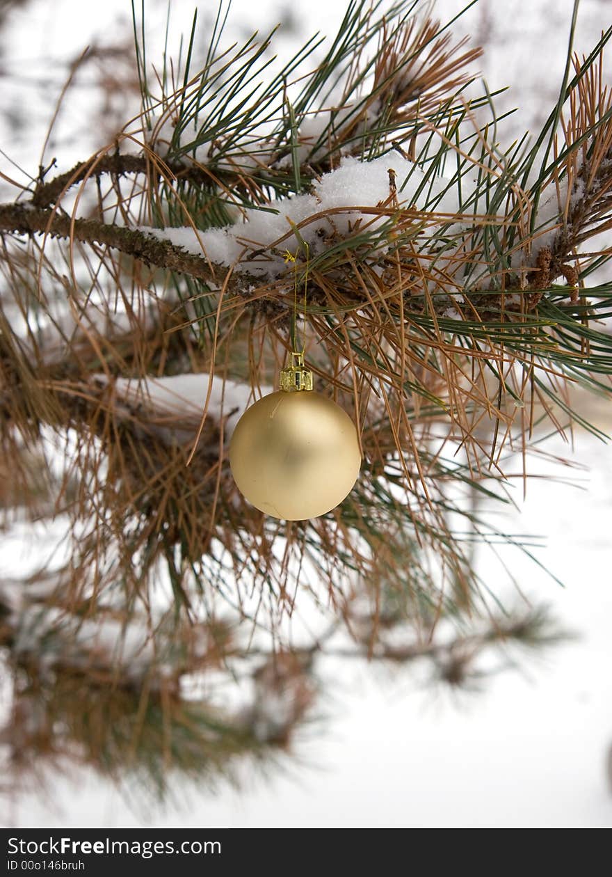 Gold Christmas Ornament in a snowy pine tree in vertical orientation