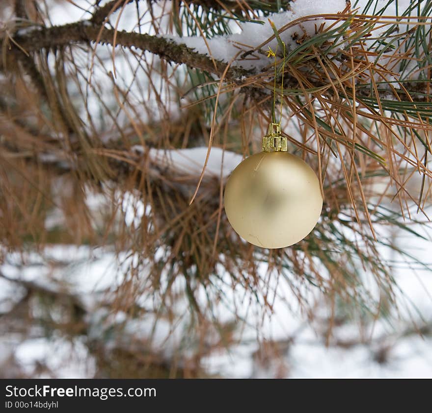 Gold Christmas Ornament in a snowy pine tree in horizontal orientation. Gold Christmas Ornament in a snowy pine tree in horizontal orientation