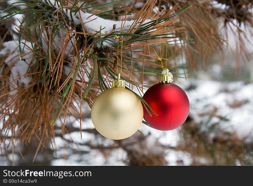 Red and Gold Christmas Ornaments in a snowy pine tree in horizontal orientation. Red and Gold Christmas Ornaments in a snowy pine tree in horizontal orientation