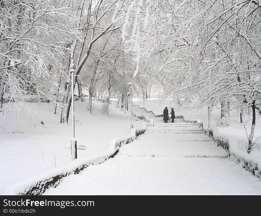 Snowy Parkland