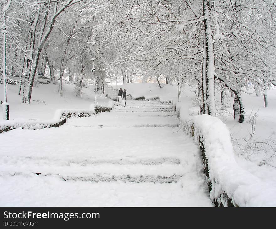 Snowy Parkland