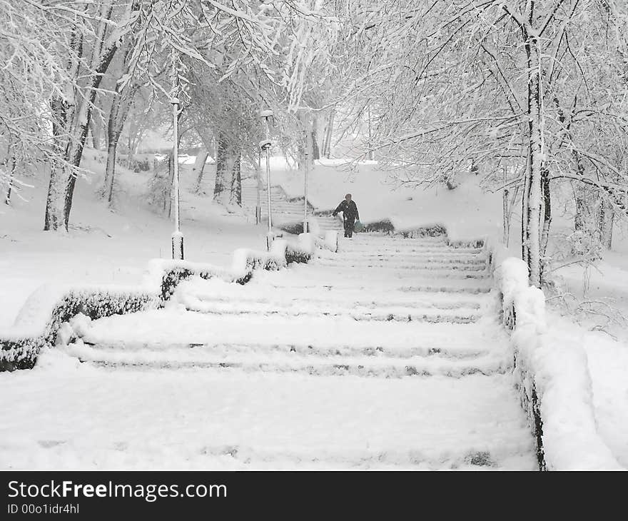 Snowy parkland