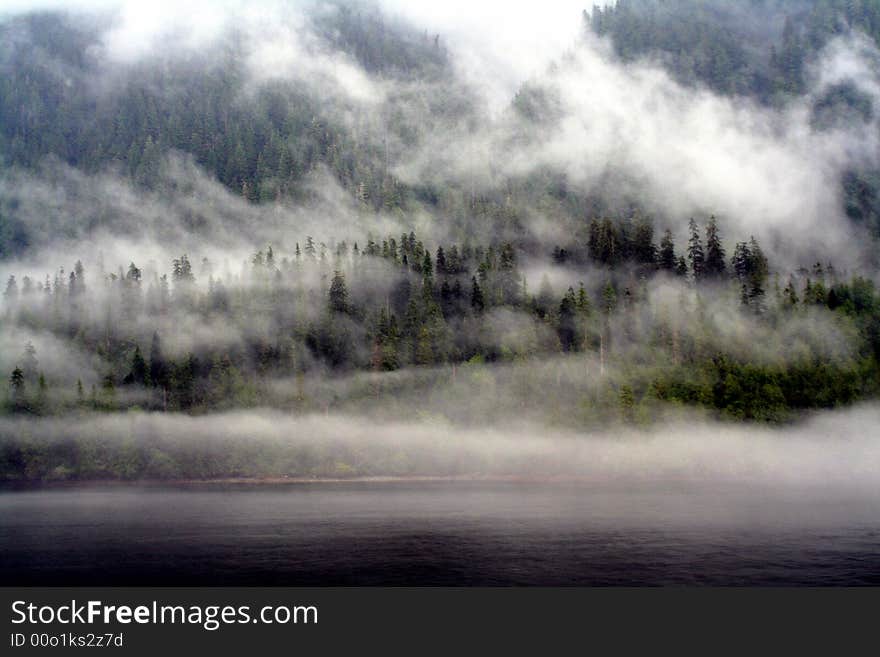 Mists in the forests of the inside passage in Alaska. Mists in the forests of the inside passage in Alaska