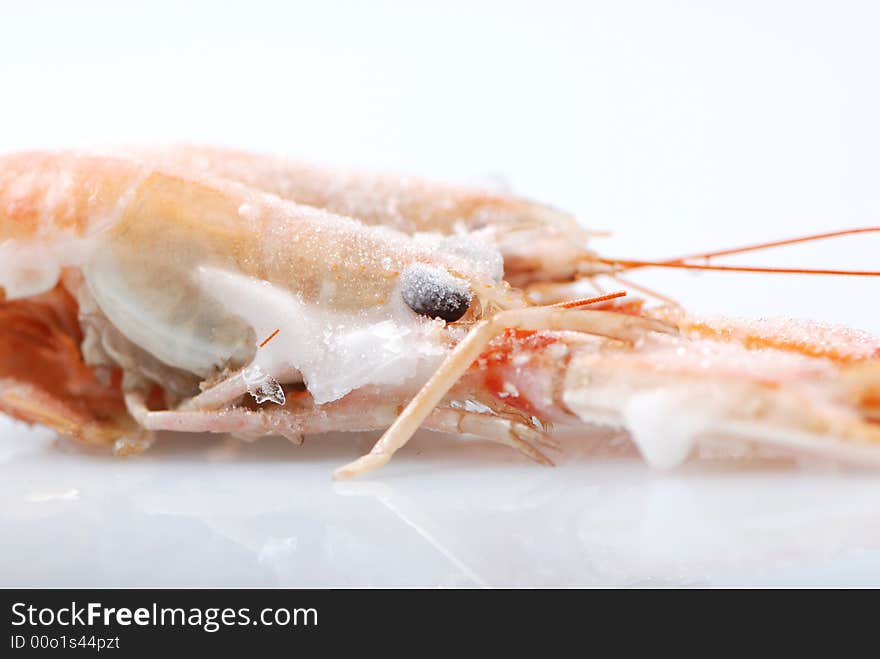 Scottish langoustines shot on white background. Scottish langoustines shot on white background