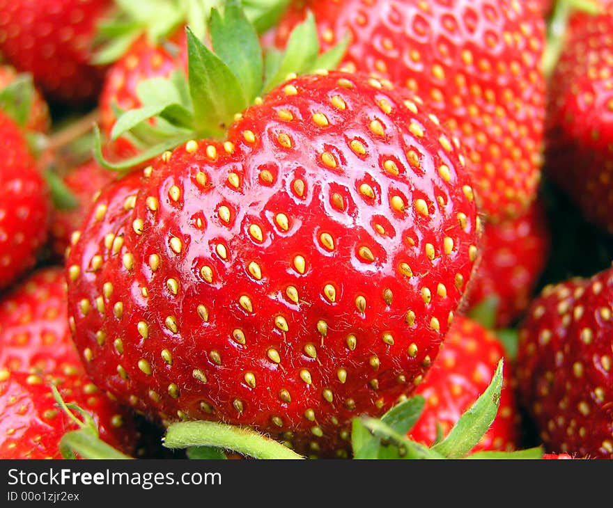 Brightly red strawberry with large yellow seeds. Brightly red strawberry with large yellow seeds