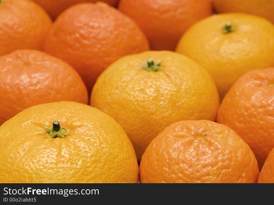 Citrus Fruit